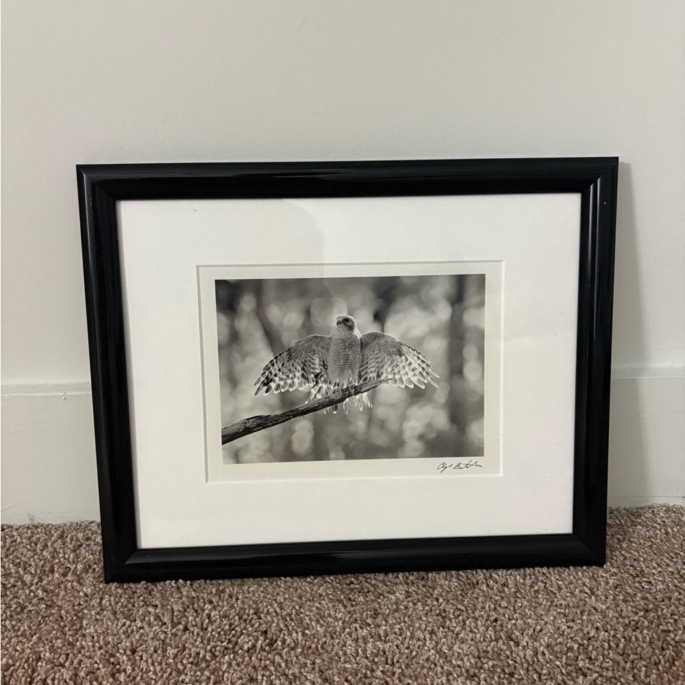 Clyde Butcher Black Framed Bird Art Print